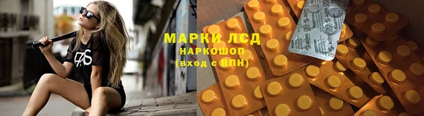 СК Алзамай