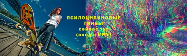 спайс Алексин