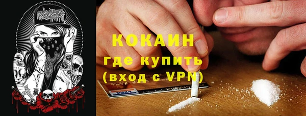 спайс Алексин