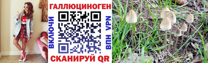 Псилоцибиновые грибы Psilocybine cubensis  закладки  Ардатов 